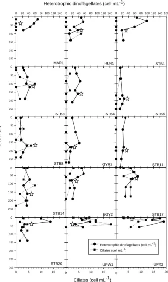 Fig. 10. Vertical profiles of concentration (cell mL − 1 ) of total het- het-erotrophic dinoflagellates (solid line) and ciliates (dotted line)