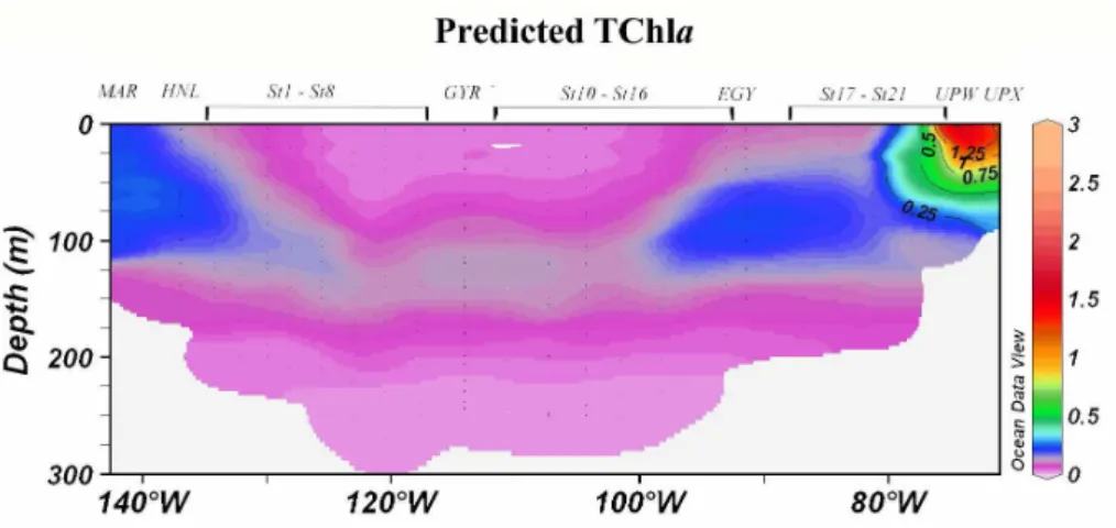 Fig. 7. Contour plot of the predicted TChla concentrations (mg m −3 ) for the BIOSOPE cruise transect