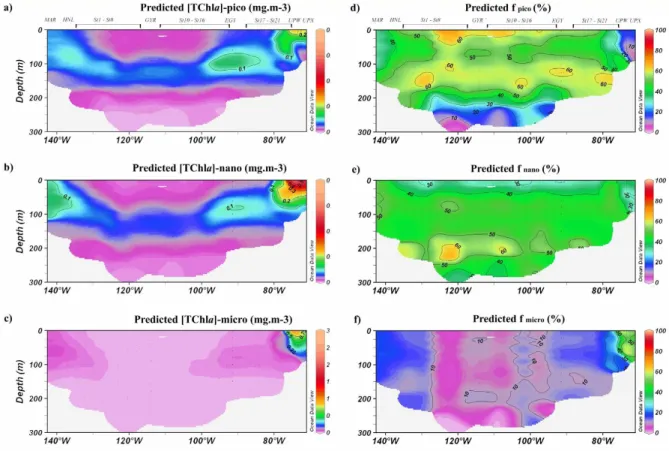 Fig. 9. Cross sections of the predicted TChla concentrations along the BIOSOPE transect for pico-, nano- and microphytoplankton, expressed in mg m −3 (a–c) and percentages (d–f).