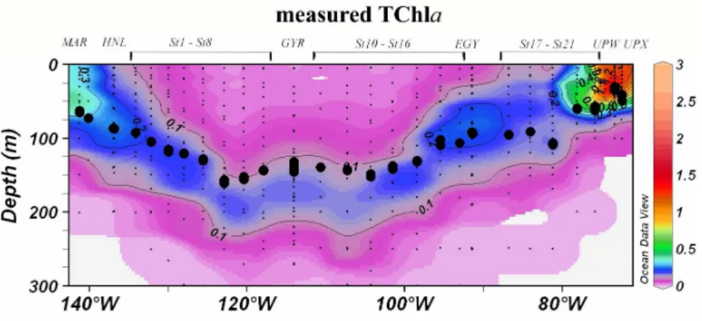 Fig. 3. Contour plot of the measured TChla concentrations (mg m −3 ) for the Biosope cruise transect