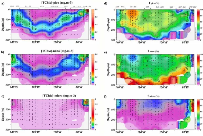 Fig. 6. Biosope cruise cross sections of in situ TChla concentrations in mg m −3 (a–c) and percentages (e–g) associated to the pico-, nano- nano-and microphytoplankton size classes