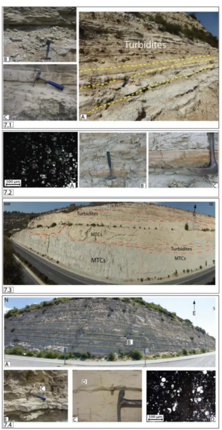Fig. 7. [1] (A) Photograph showing a turbidite system in the Limassol Basin (3448 0 23.30 00 N; 3247 0 29.49 00 E); (B) Wackestone grading to packstone; (C) Highly bioturbated mudstone grading to packstone; [2] (A) Micritic non-porous mudstone, rich in pel