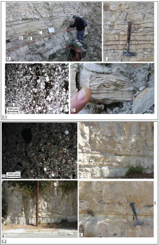Fig. 5. [1] (A) Studied outcrop near Koilani village (3450 0 15.52 00 N; 3251 0 31.12 00 E); (B) Thin bedded bioclastic grainstones;
