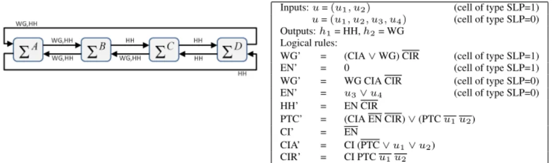 Figure 6: Segment and modules definitions of segment polarity network [2].