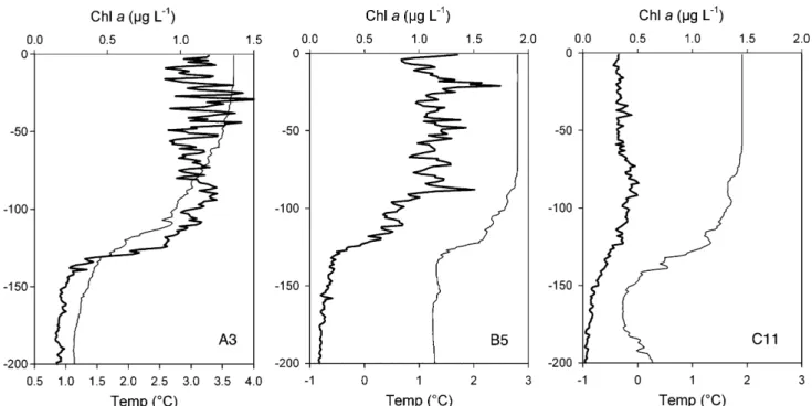 Fig. 2. Depth proﬁles of temperature (thin line) and chlorophyll a (thick line) at Stations A3-3, B5 and C11