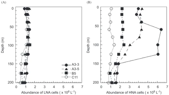 Fig. 3. Abundance of low (LNA) (A) and high nucleic acid (HNA) (B) cells within the Kerguelen bloom (Stations A3-3 and A3-5), at Station B5 and at the HNLC-site C11.