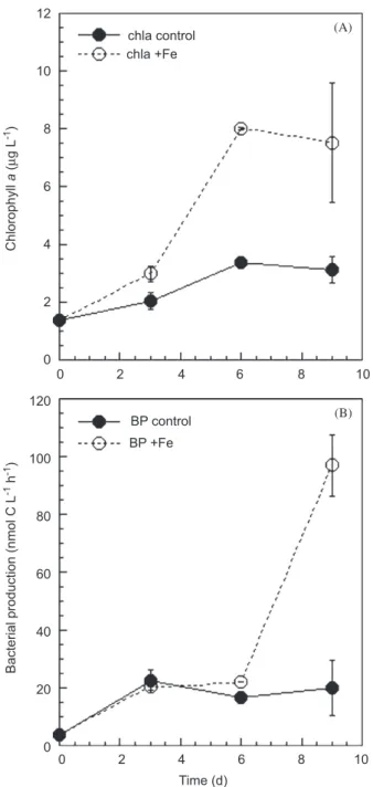 Table 4). Lancelot et al. (1989) suggested a time lag between phytoplankton and heterotrophic bacteria of about 1 month to be characteristic for the Southern Ocean.