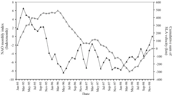 Fig. 7. Cumulative NAO (index month; black triangles) and cumulative geostrophic current (white triangles) derived from altimeter sea level anomaly (km) over the period 1995–1998.