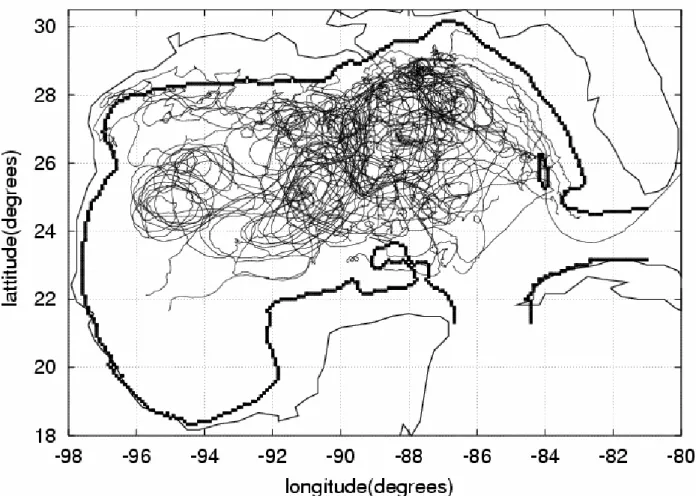 Fig. 10. Spaghetti of 55 drifting buoys used in the analysis.