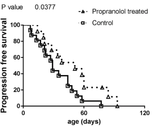 Figure 3: Comparison of progression free survival in control and propranolol treated MT/Ret mice with prior primary  tumor