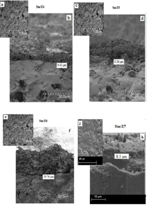 Fig. 4. Scanning electron micrographs of different membranes sintered at 900  ◦ C: surface (a, c, e and j) and cross-section (b, d,f and h)