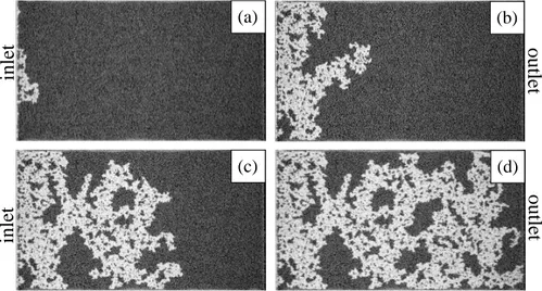 Figure 2. Snapshots showing the evolution of a quasi static drainage experiment.