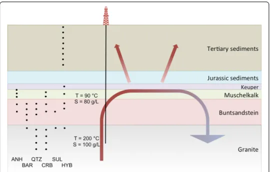 Figure 13 Schematic section through the convective cells in the sedimentary and granitic reservoirs.