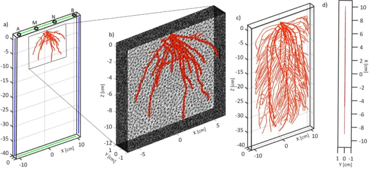 Fig. 6. (a) Finite element model of the virtual rhizotron in EIDORS on Day 5. The vertical line electrodes used to compute the effective electrical con- con-ductivity ( s effx ) are shown in blue and the horizontal line electrodes used to compute  s effz  