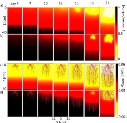 Fig. 7. Volumetric water saturation (S) distribution in (a) sand  and (b) loam and its corresponding electrical conductivity  ( s bulk ) maps in (c) sand and (d) loam in the Y = 0 plane at  different times.