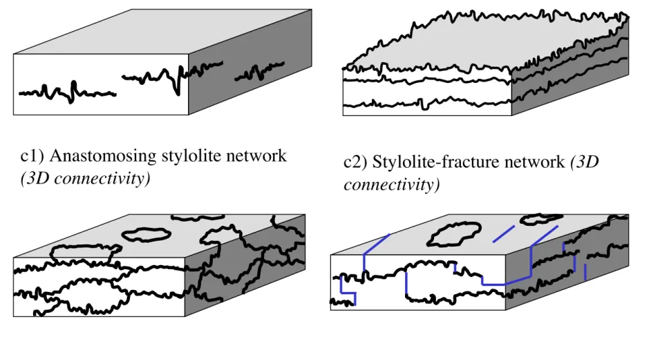 Fig  10.  Connectivity-based  classification  of  sedimentary  stylolite  populations:  (a)  Isolated  stylolites;  (b)  Long  bedding-parallel  stylolite  population;  and  (c)  Interconnected-netwo rk  stylolite  population,  further  divided  into  (c1)