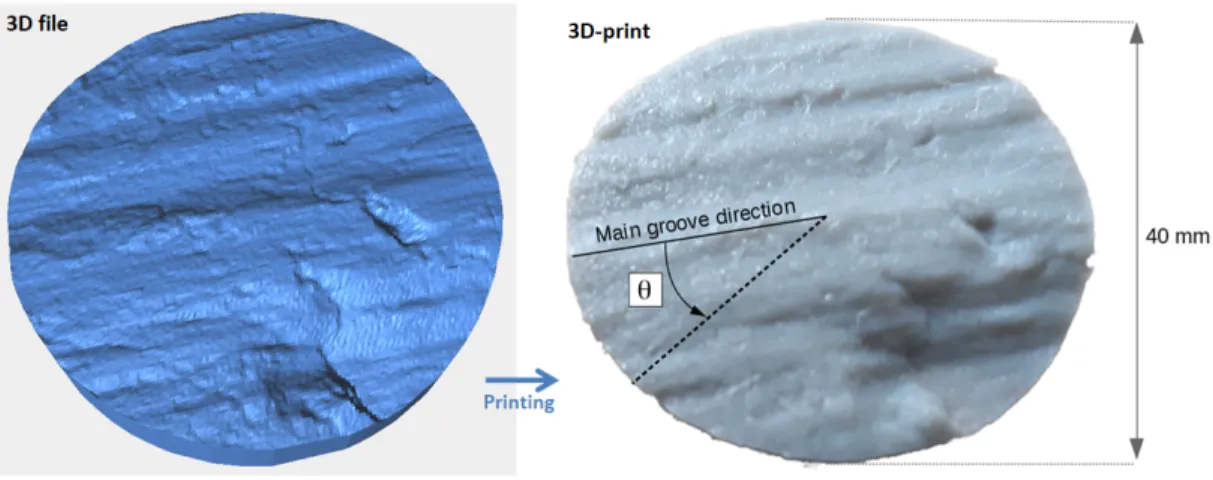 FIG. 3. (Left): 3D file (STL file) obtained from the measured topography of the S m fault