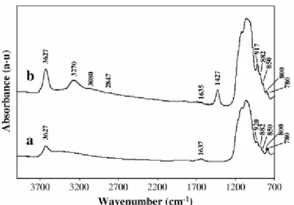 Fig. 2. Fourier transform infrared (FTIR) spectra of (a) untreated-smectite and (b)  NH 4 -smectite samples recorded at room temperature with the IR microscope