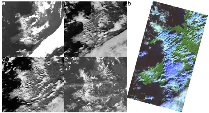 Fig. 2. NOAA AVHRR images at (a) 02:26 UT, (c) 12:20 UT, (d) 14:01 UT, (e) 16:35 UT, and Landsat image at (b) 10:58 UT, 1 October 2001