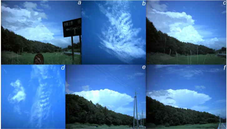 Fig. 14. Photographs from location × in Fig. 2 at (a) 13:20- (f) 13:40 JST 15 July 2002, showing (a, c, e, f) deep convection in the distance beyond a rice field and forest, and (b, d) Kelvin-Helmholtz billows.