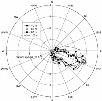 Fig. 5. Resulting direction calculated by average of unit vectors.