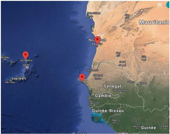 Figure 2. Geographic location of the Dakar, Nouakchott and Palmeira tide stations. 