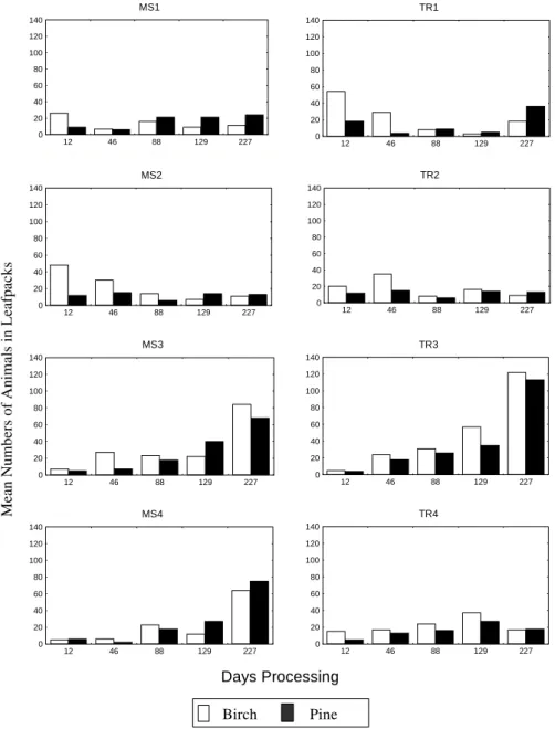Fig. 4. Mean numbers of macroinvertebrates associated with experimental leaf pack at eight sites in the Nethy catchment from December 1995 to July 1996