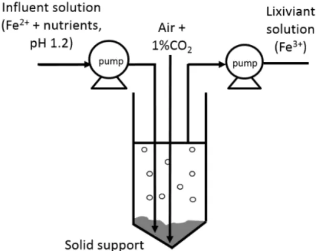 Figure 2: Schematic diagram of the bio-oxidation bubble column 