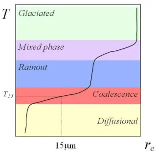 Fig. 1. Schematic representation of the five microphysical zones: