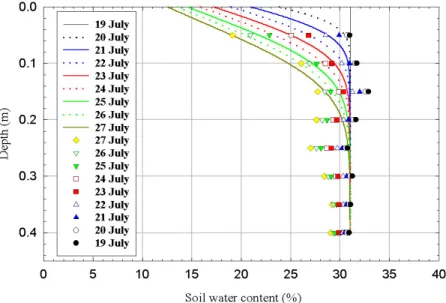 Figure 7a shows the evolution (19 to 27 July 1999) of the daily vertical profile of the soil water content obtained from the analytical solution (Eqn