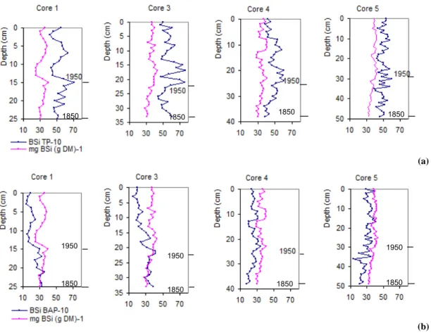 Fig. 4. (a) BSi concentrations in sediment and the ratio BSi TP −1 and (b) BSi concentrations in sediment and the ratio BSi BAP −1 vs