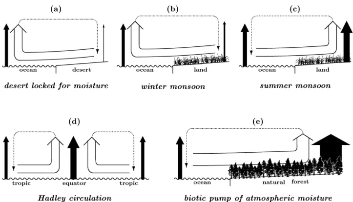 Fig. 4. The physical principle that the low-level air moves from areas with weak evaporation to areas with more intensive evaporation provides clues for the observed patterns of atmospheric circulation