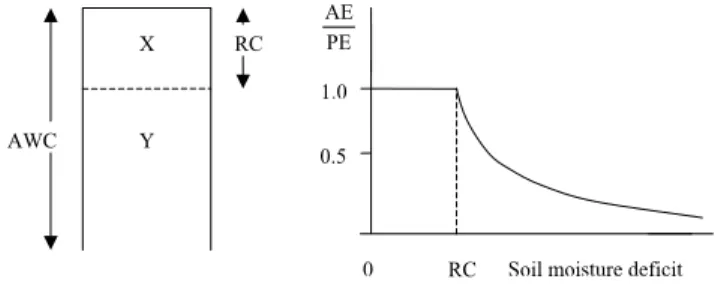 Fig. 2. Components of the soil water-balance moduleX 