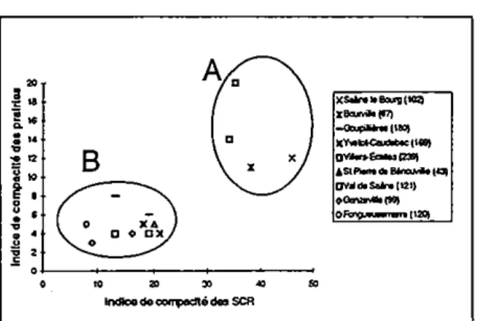 Fig.  4 - Comparaison  des indices de compacité  des prairies el des SCR. 