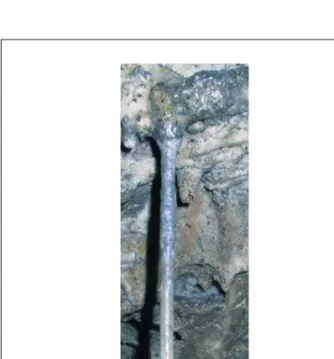 Figure 9. The upper 10 cm of the Proserpine stalagmite. At its  base, the straw embedded in brown calcite