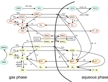 Fig. 5. Schematic diagram of the major halogen-related reactions in the gas and aqueous phase