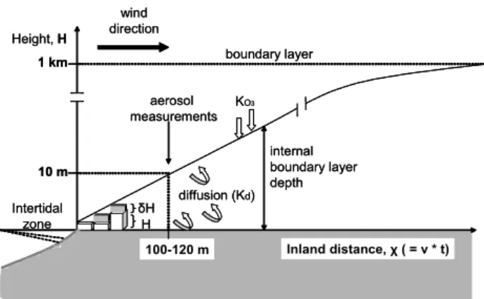 Fig. 1. Schematic of an evolving plume containing the gas molecules and particles offshore from the emissions point at the intertidal zone.