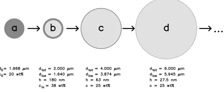 Fig. 1. Simplified illustration of the formation and growth of ice particles in SVC clouds, with numerical values for Case 2