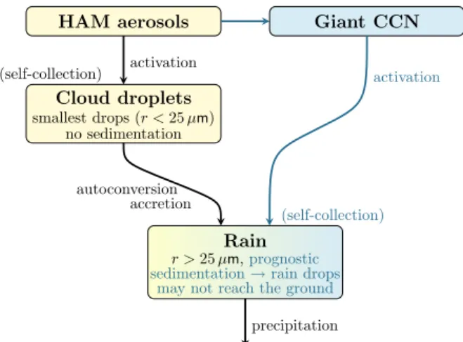 Fig. 2. Schematic of the coupling of the GCCN to the large-scale cloud microphysics scheme.