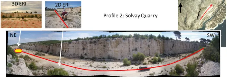 Fig. 5 NE-SW interpreted ERT profile in Solvay Quarry. Sea level is projected on the profiles