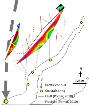 Fig. 7 Location of ERT profiles, karstic conduit, fractures in the quarry and coastal springs
