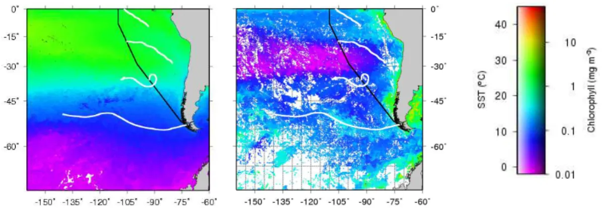 Fig. 3. The cruise track superimposed on Modis data. Left panel – SST ( ◦ C). Right panel – chlorophyll (mg m −3 )