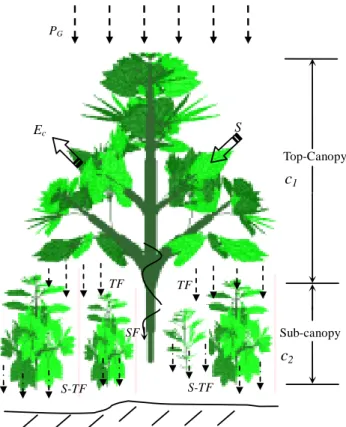 Figure 1. Location of the studied site and distribution of 10 plots.  Fig. 1. Location of the studied site and distribution of 10 plots.