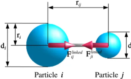 Fig. 2. Repulsive forces between particles which are not linked together.