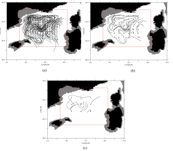 Figure 3. Lagrangian description of the truth circulation  u tru  during the month of March  1999