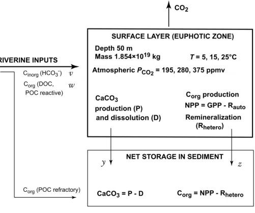 Fig. 1. Schematic diagram of the surface ocean layer (50-m-thick euphotic zone) where calcium carbonate (CaCO 3 ) and organic carbon (C org ) are produced