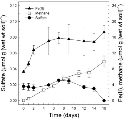 Fig. 1. Formation of Fe(II) and CH 4 and consumption of sulfate in anoxic microcosms of soil obtained from the lowland fen (0–10 cm depth) in September 2001