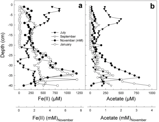 Fig. 4. Detailed porewater depth profiles of Fe(II) (a) and acetate (b) in the lowland fen sampled in July, September, and November 2001, and in January 2002.