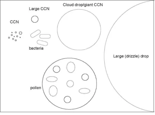 Fig. 3. Representation of warm cloud processes in which biological particles may be involved.