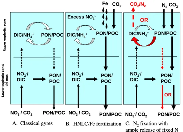 Fig. 1. Nitrogen and carbon cycling in the oligotrophic ocean with and without N 2 fixation.